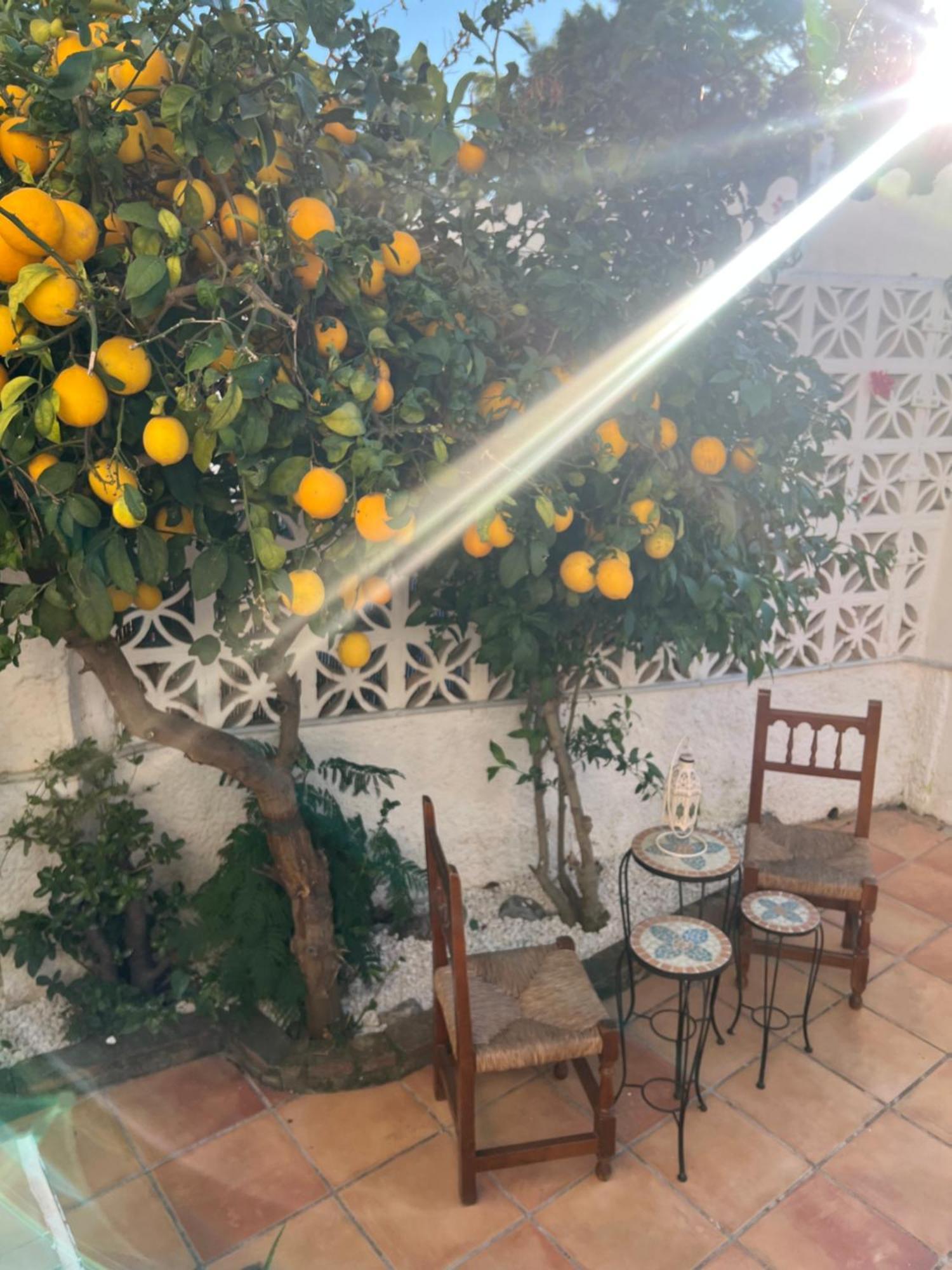 Casa Golf Mediterraneo بينالماذينا المظهر الخارجي الصورة